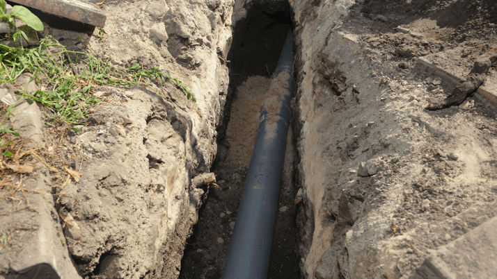 A sewer line is exposed showing a large root that has been cut.